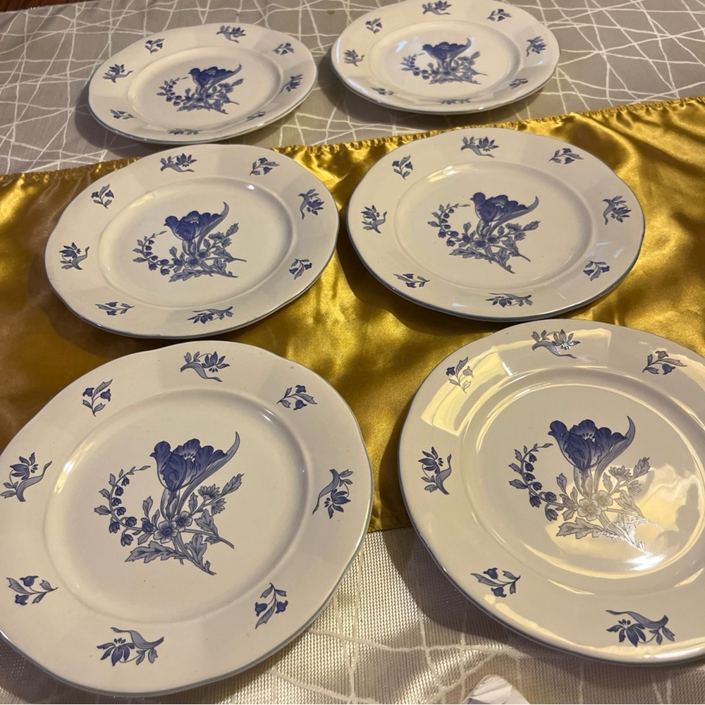 Blue bonnet 6 salad plates